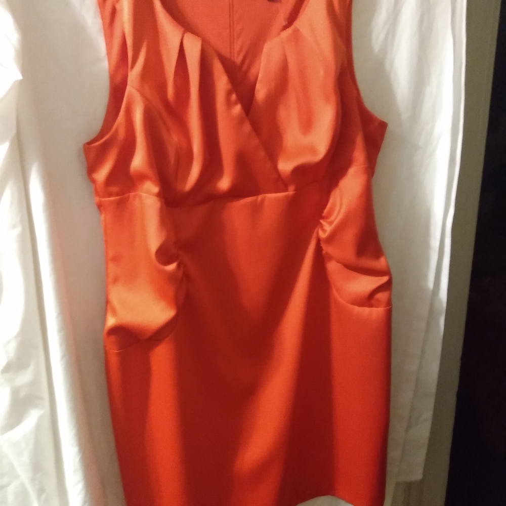 Beautiful ladies plus size dress NWOT